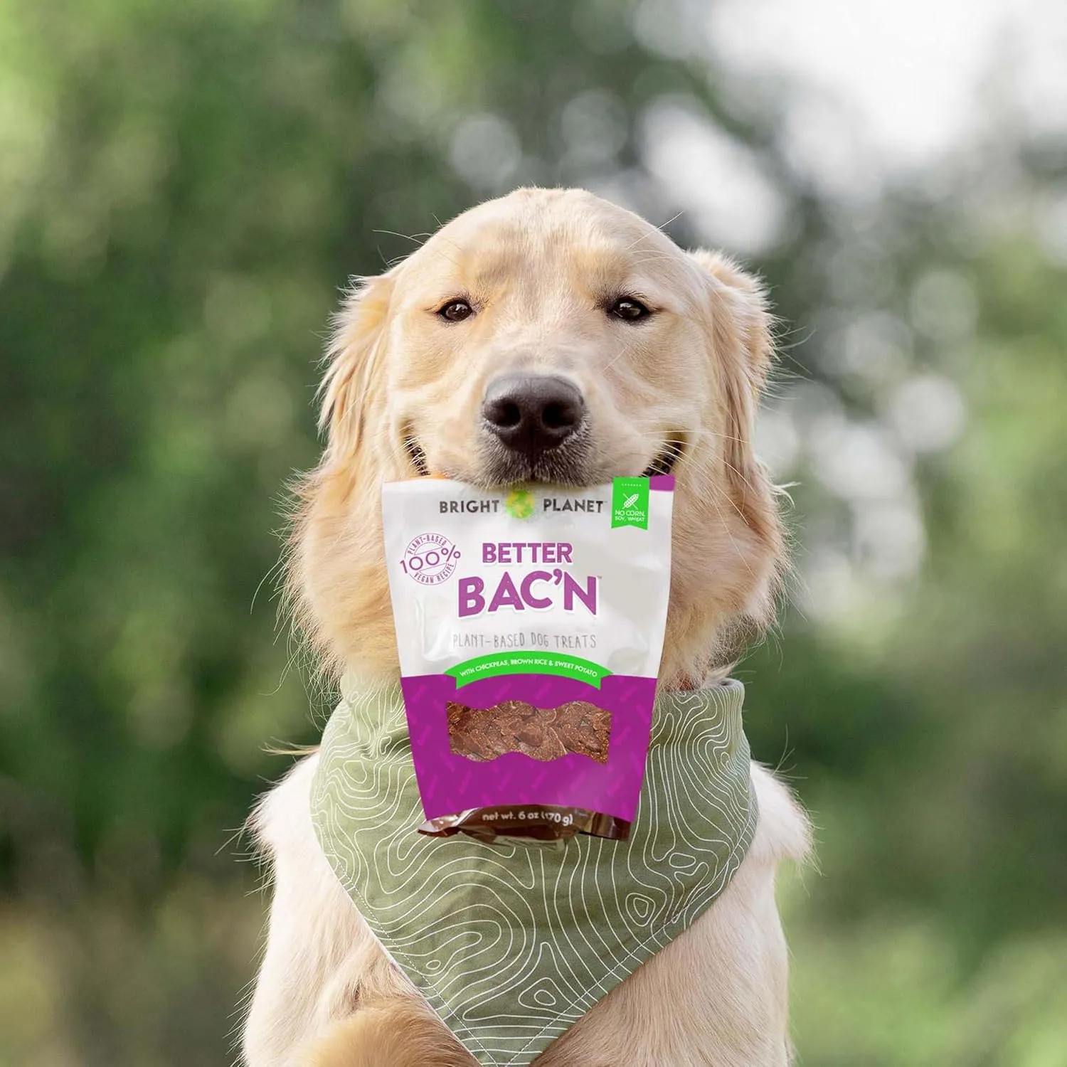 | Plant-Based Vegan Dog Treats - 6oz | Sustainable Natural Clean Label | Low-Calorie Soft Veggie Dog Treats | Made in USA