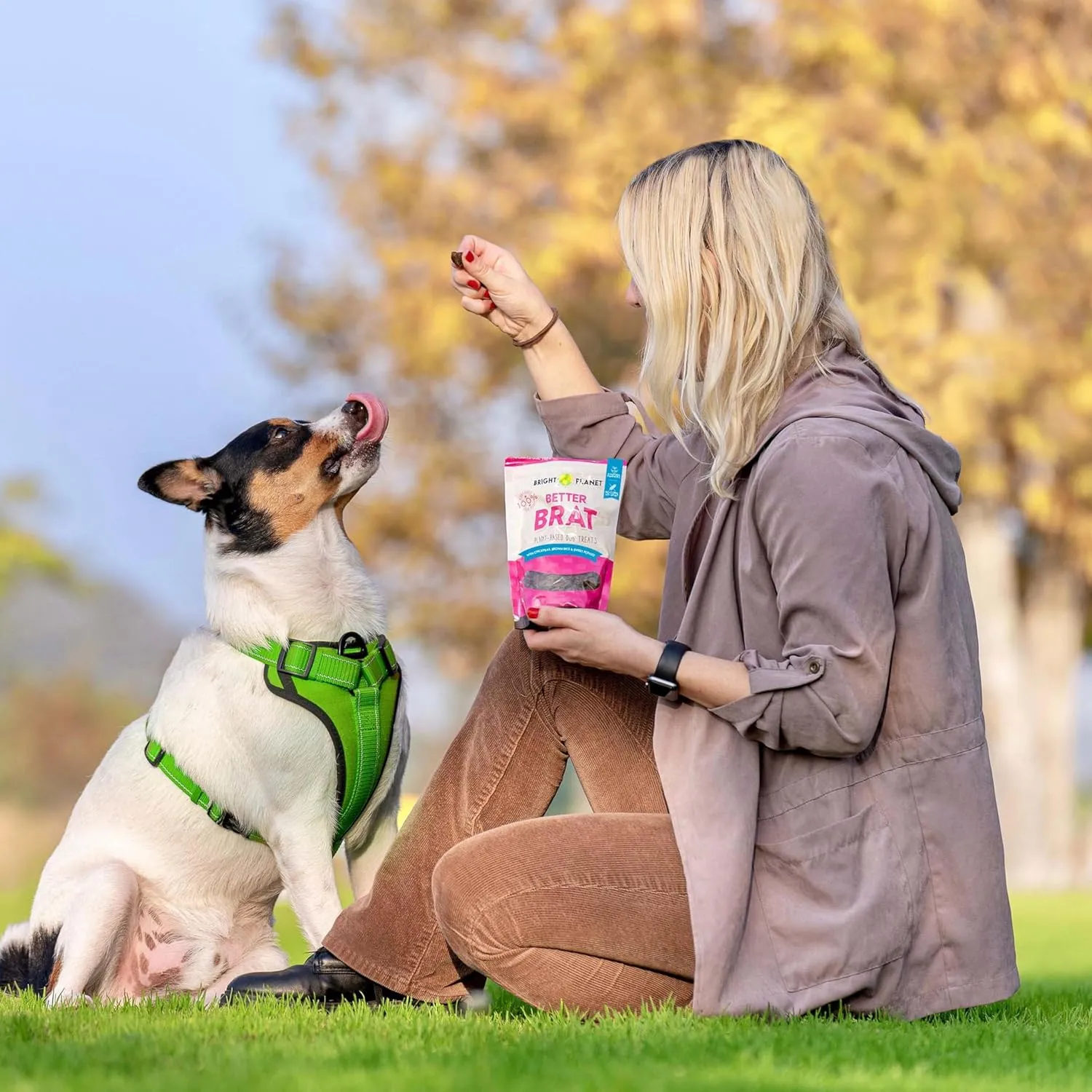 | Plant-Based Vegan Dog Treats - 6oz | Sustainable Natural Clean Label | Low-Calorie Soft Veggie Dog Treats | Made in USA