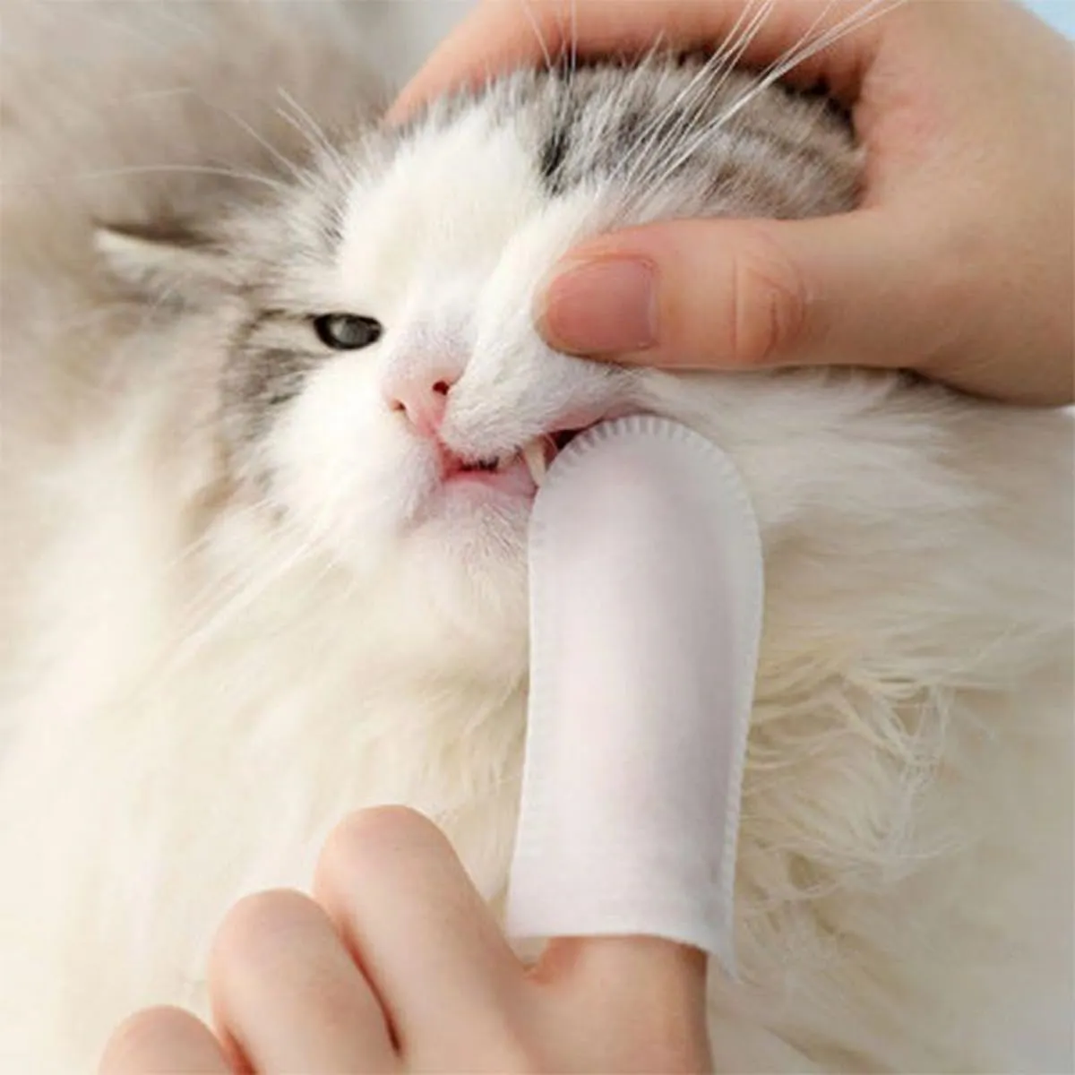 400pcs 360 Dog Toothbrush Disposable, Pets Cat Toothbrush, Dog Tooth Cleaning Brushing, Dog Dental Care, Portable Outdoor Travel Daily Use
