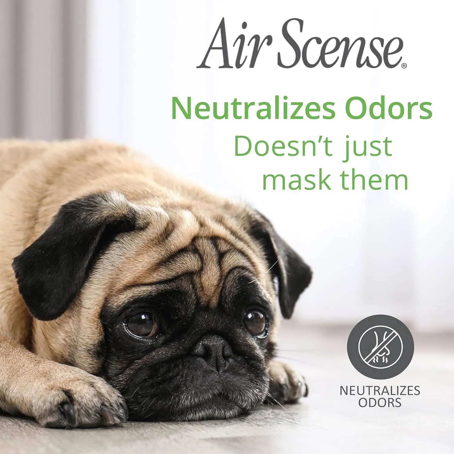Air Scense Essential Oil Air Freshener - Lavender Scent - Non-Aerosol - 7 fl oz | Refreshing, Long-Lasting Scent | Eco-Friendly | Exceptional Value| Single Can