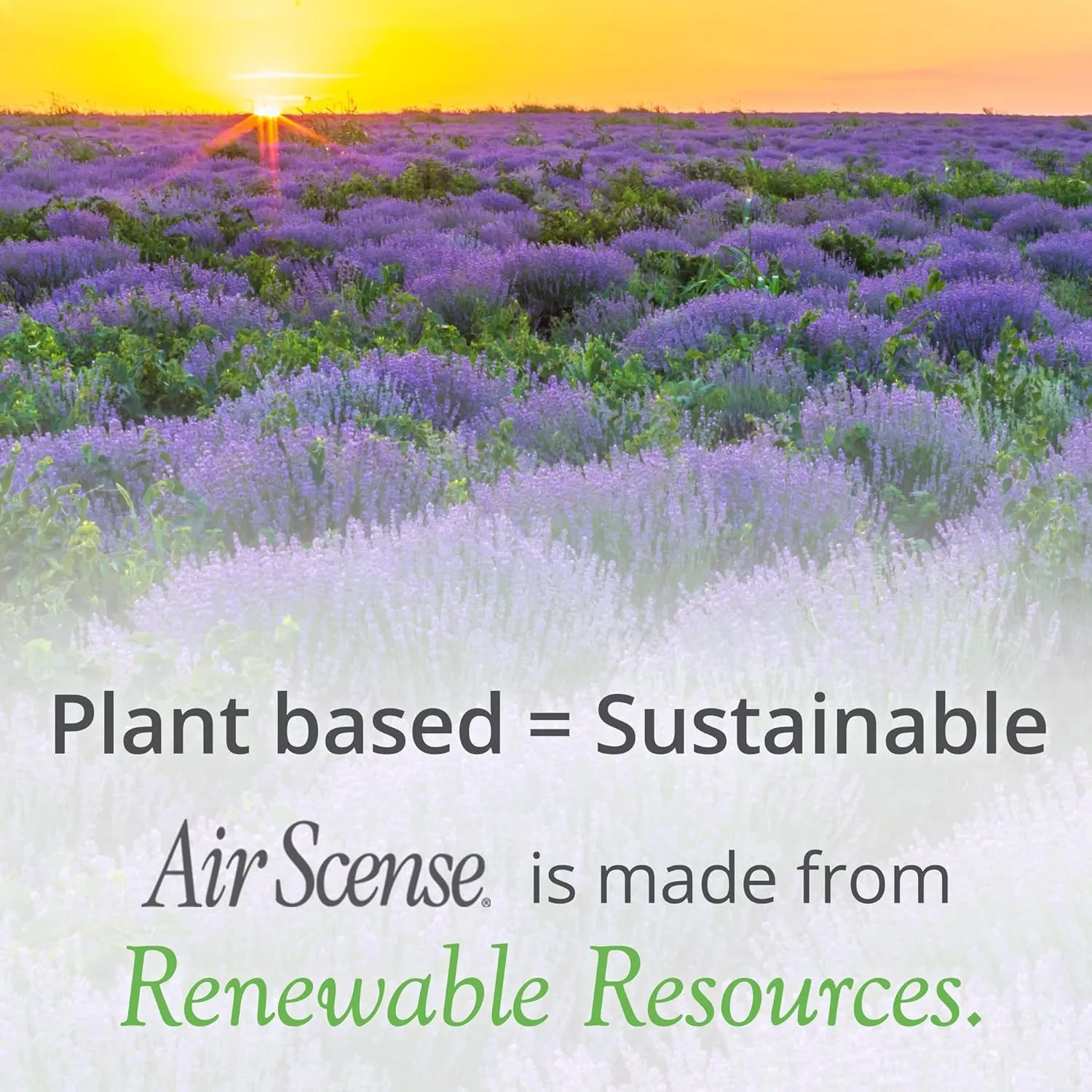 Air Scense Essential Oil Air Freshener - Lavender Scent - Non-Aerosol - 7 fl oz | Refreshing, Long-Lasting Scent | Eco-Friendly | Exceptional Value| Single Can