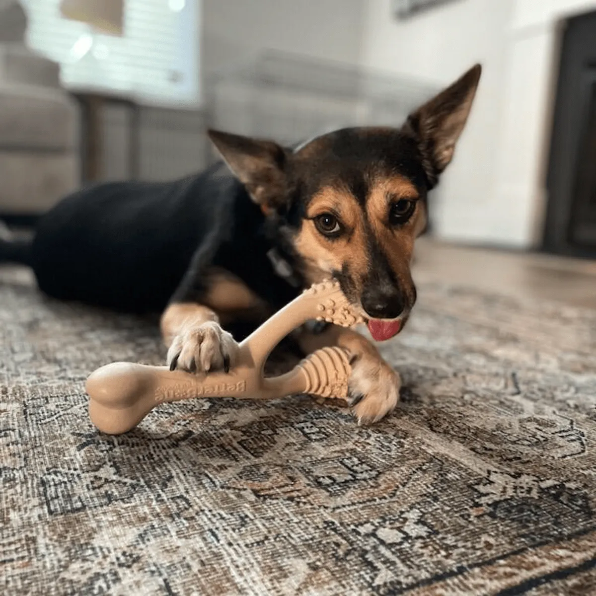 All Natural Dog Bone - Eco Friendly Dog Toy - Non-Splintering, Nylon Free
