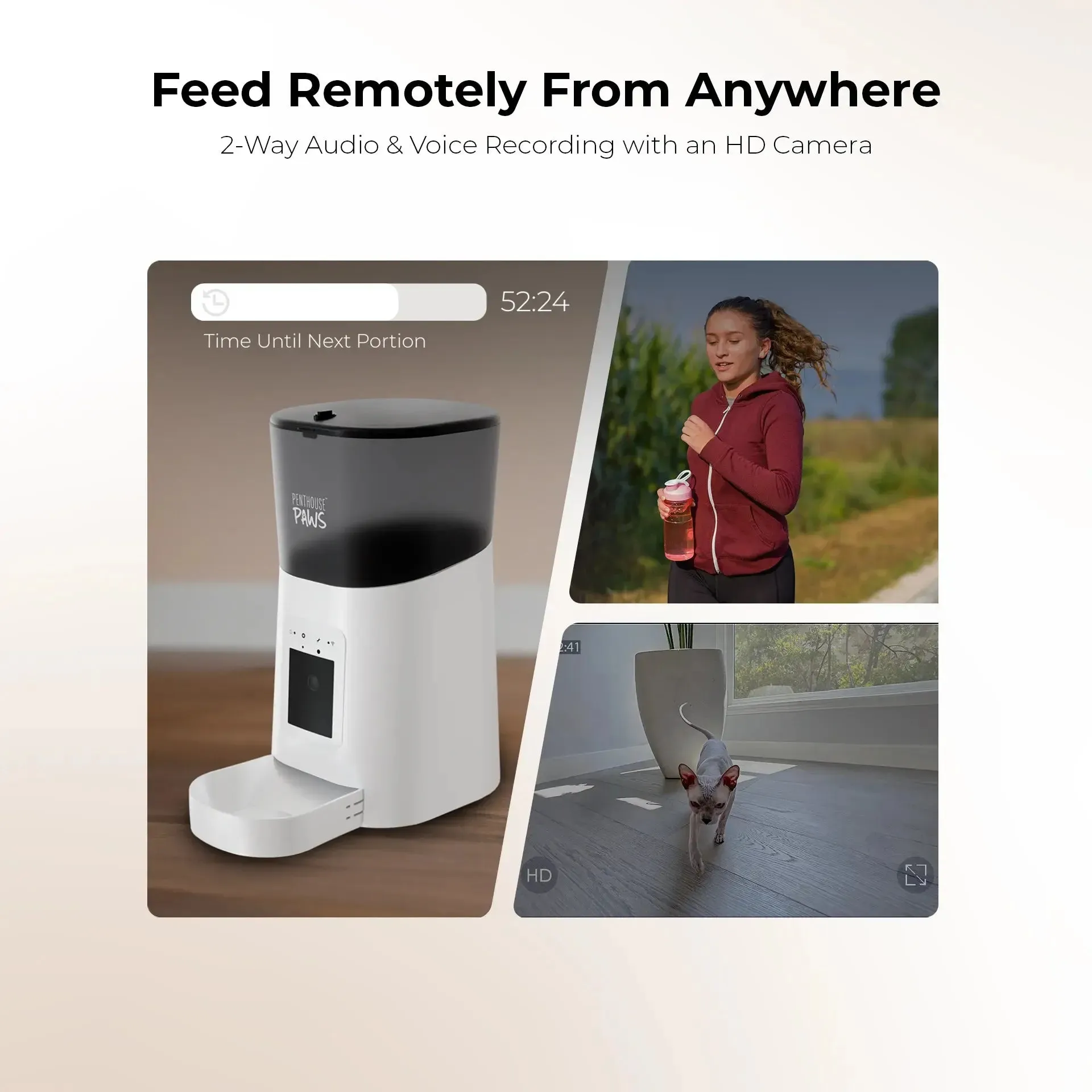 Automatic pet Feeder for Cats & Dogs, 6L Black/Stainless S