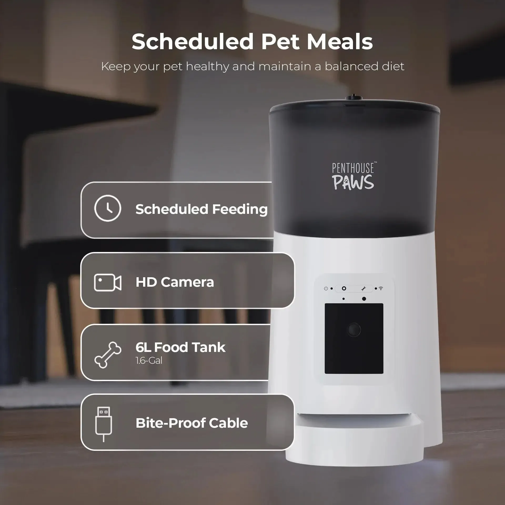Automatic pet Feeder for Cats & Dogs, 6L Black/Stainless S