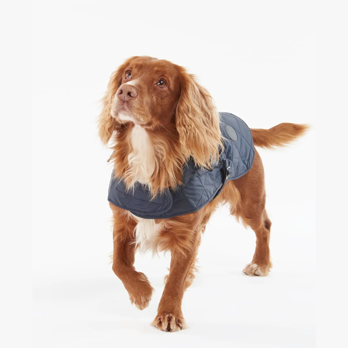 Barbour Quilted Dog Coat | Navy