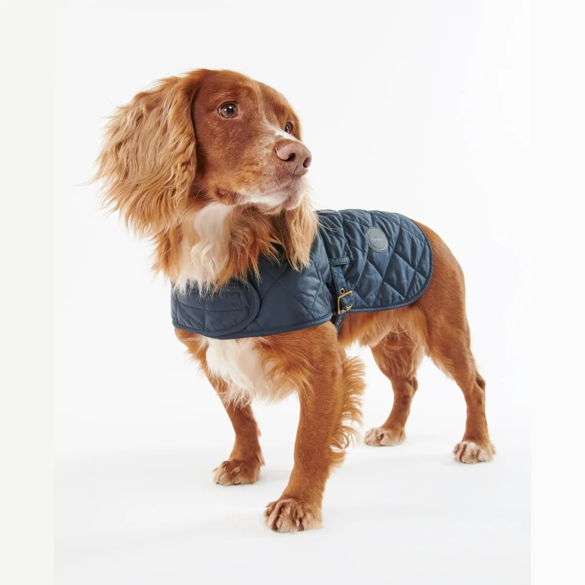Barbour Quilted Dog Coat | Navy