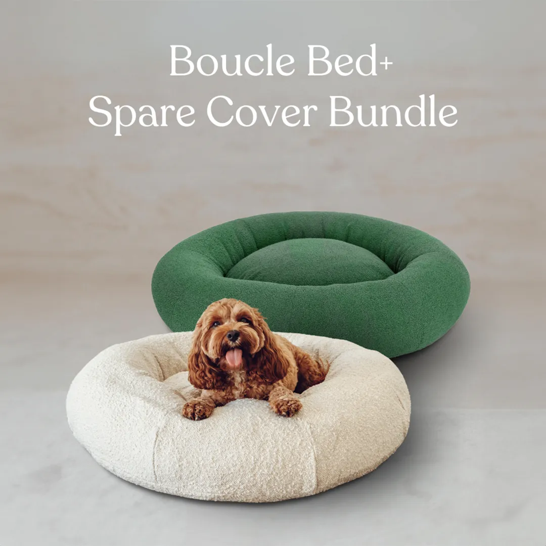 Boucle Dog Bed & Cover Bundle