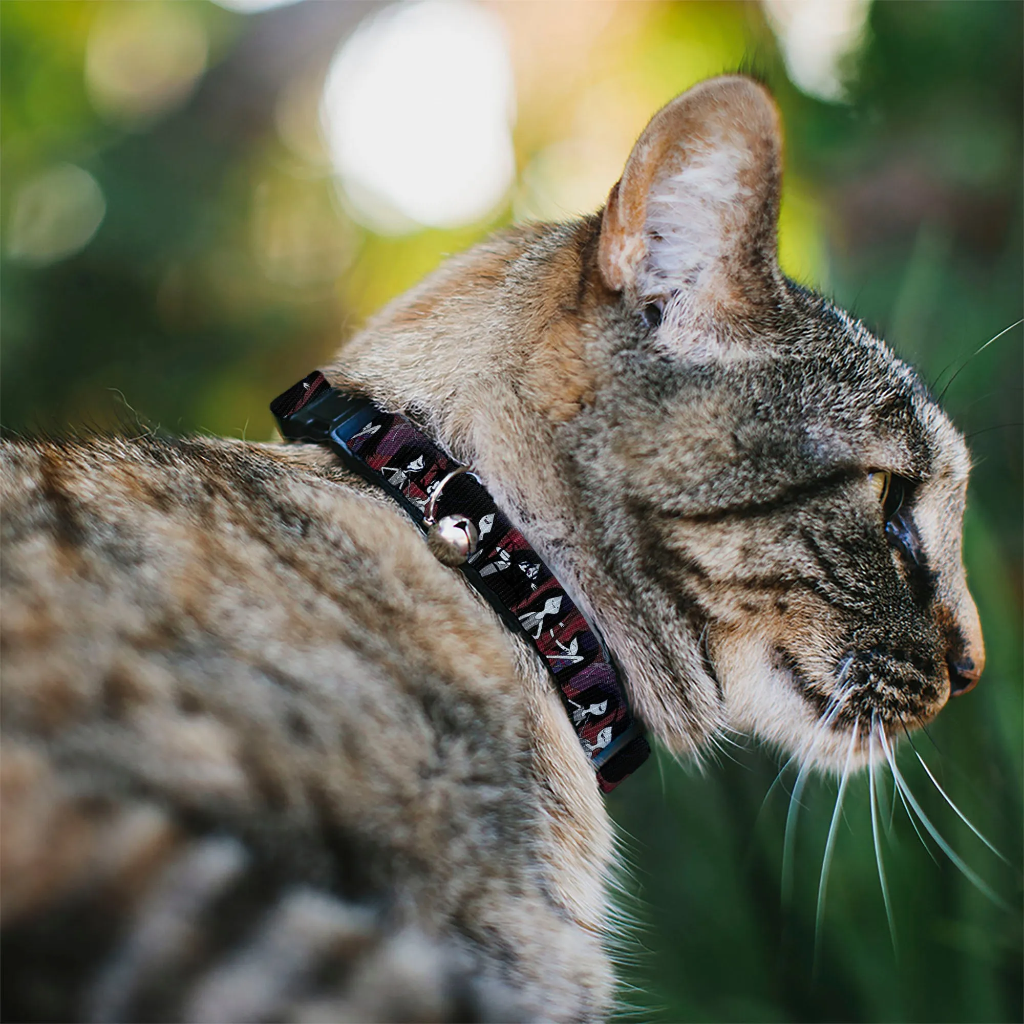 Breakaway Cat Collar with Bell - Adventure Time Marceline Poses Collage Reds