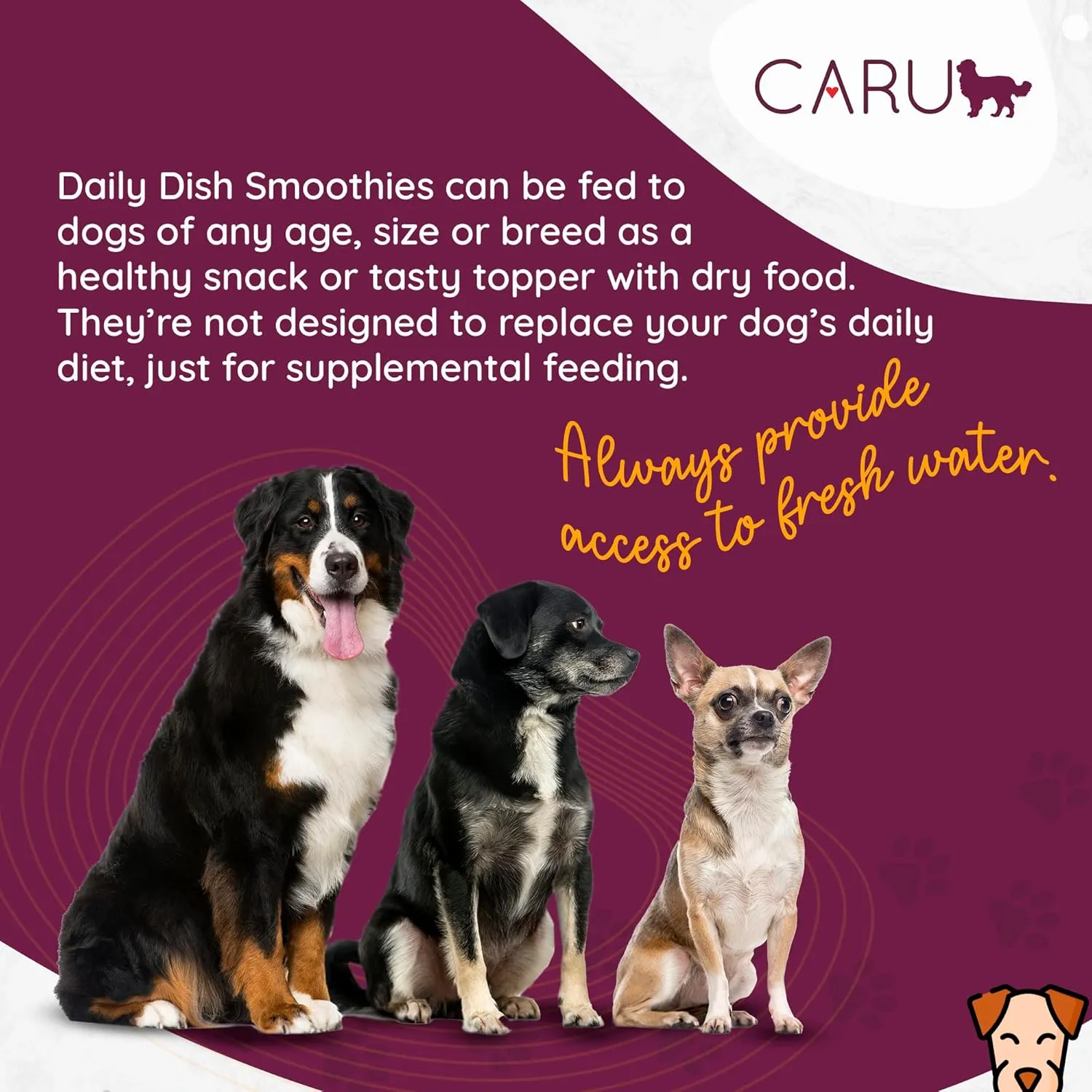 CARU - Daily Dish Smoothies - Lickable Chicken Dog Treat - 4 Pack - .5oz Tubes