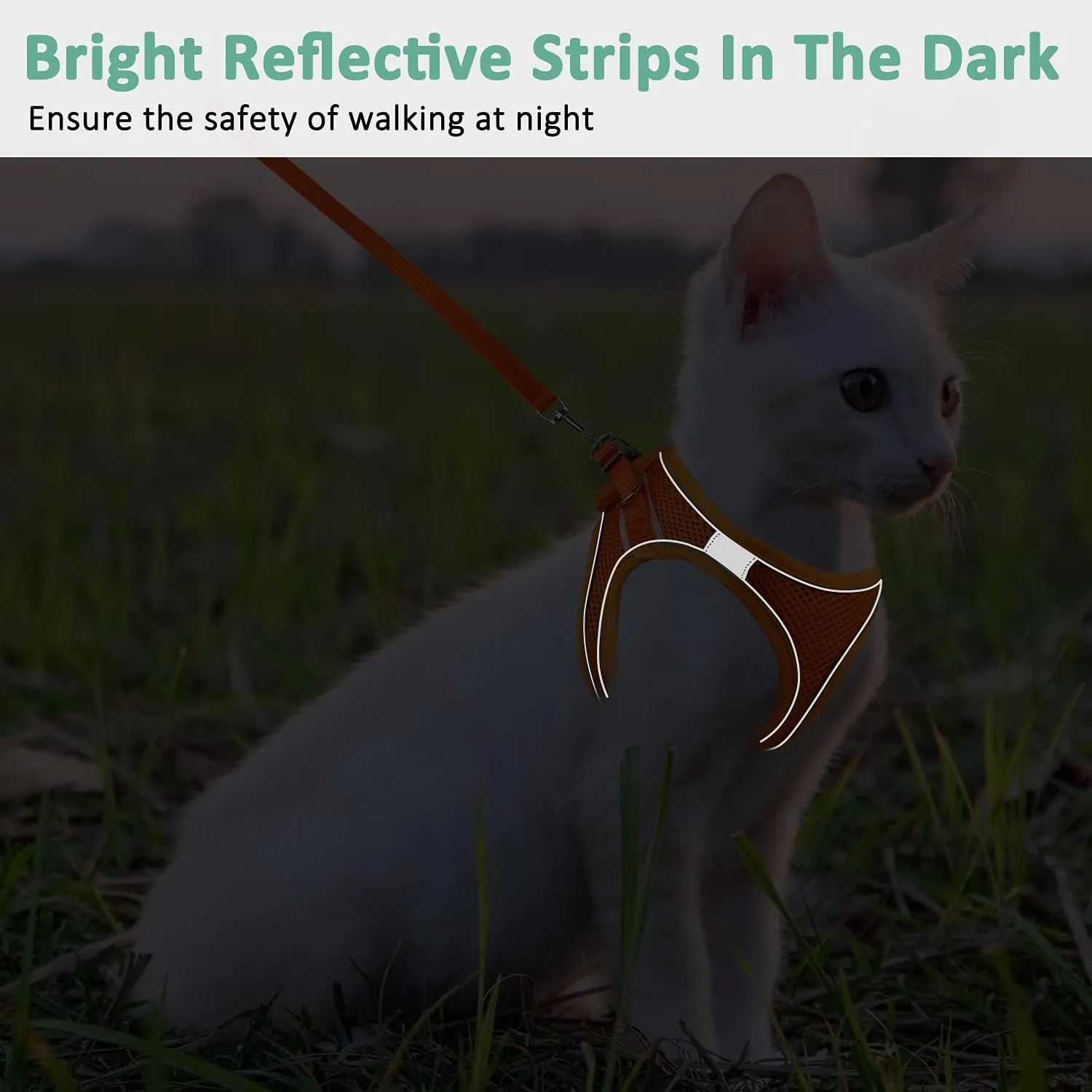 Cat Harness and Leash- Reflective Mesh Cat Vest for Walking Outdoor- Escape Proof Kitten Puppy Vest Harness -Comfort Fit, Lightweight, Easy Control Orange Medium
