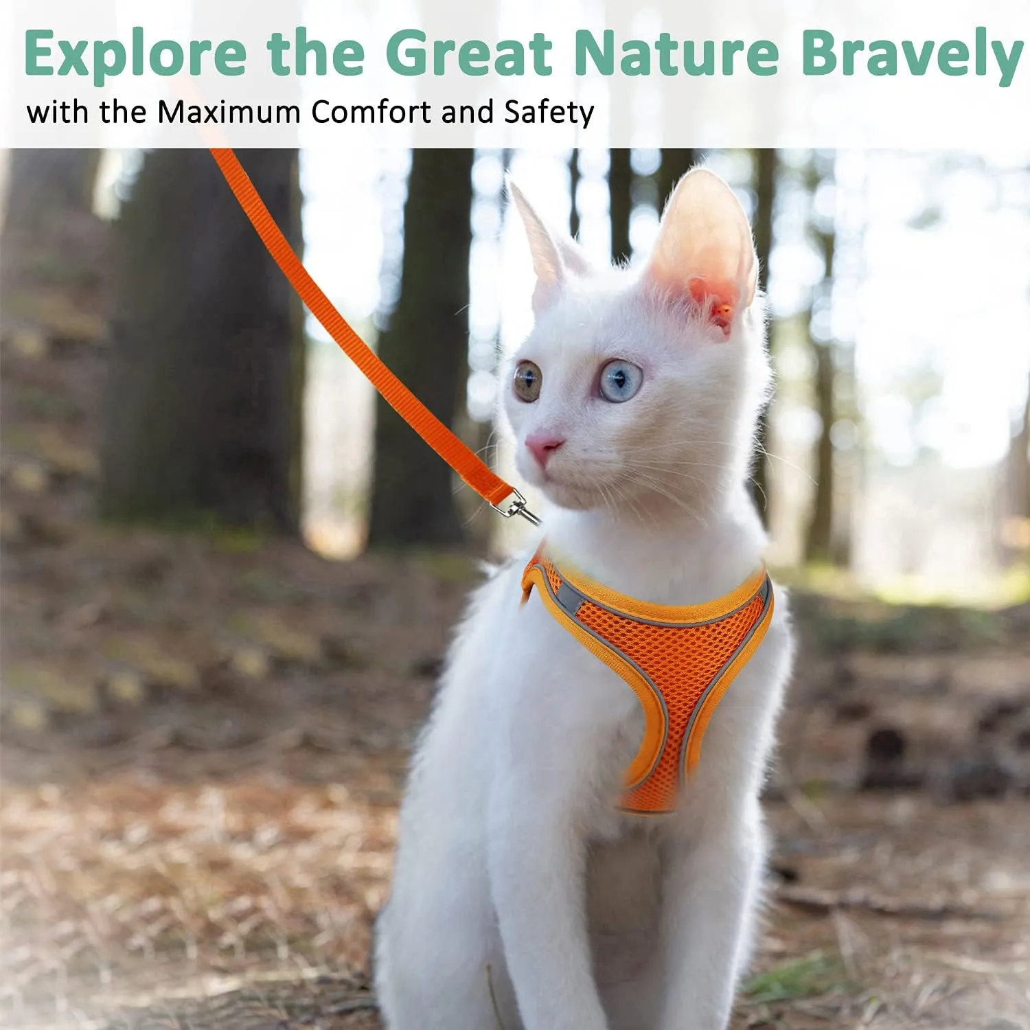 Cat Harness and Leash- Reflective Mesh Cat Vest for Walking Outdoor- Escape Proof Kitten Puppy Vest Harness -Comfort Fit, Lightweight, Easy Control Orange Medium