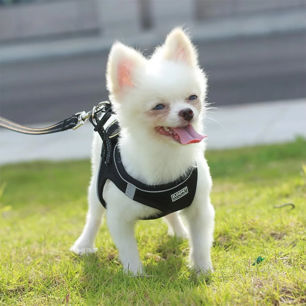 Cat Harness with Leash Set Mesh No Pull Reflective Escape Proof Walking Adjustable Step Soft Padded in Vest Harness for Small Medium Puppy, Cats Black XS