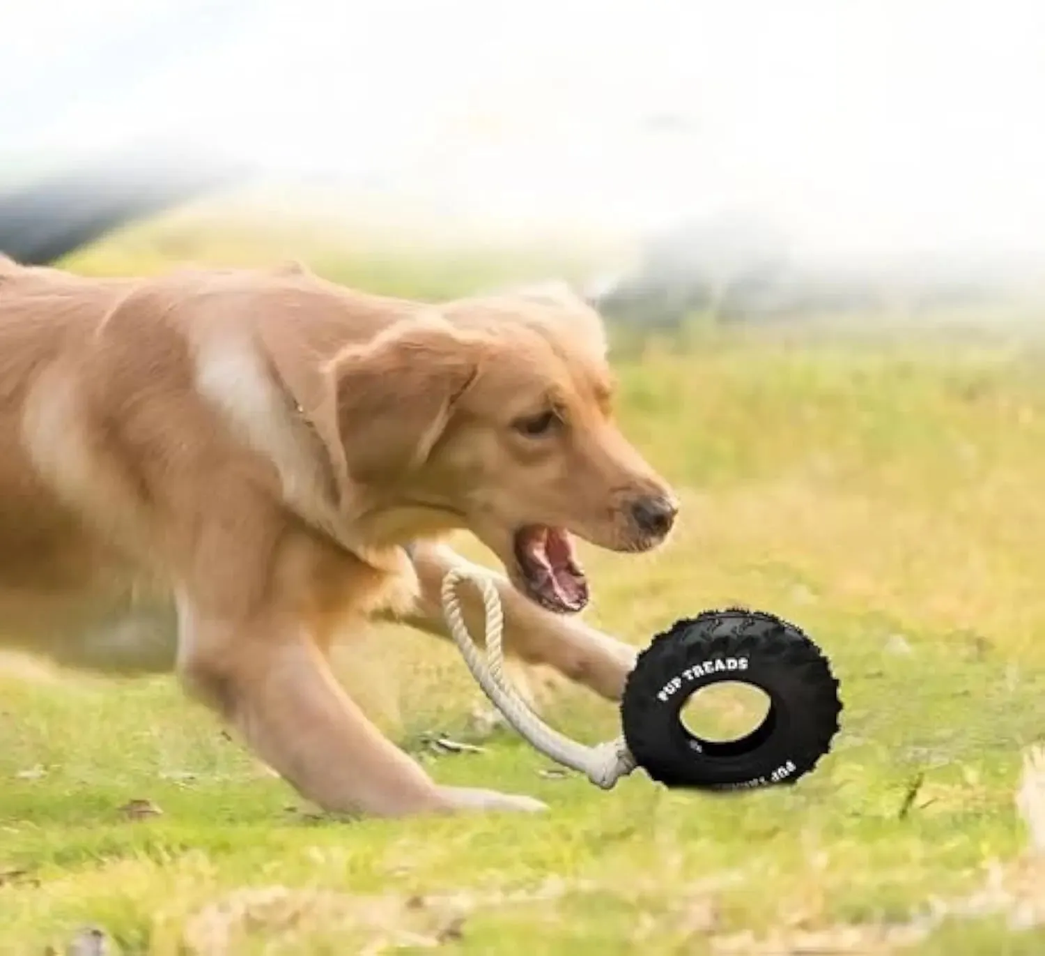 chew toys for dogs Aggressive Chewers