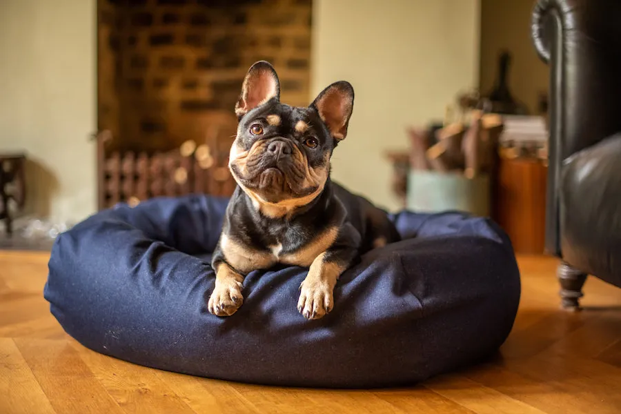 Denim Dog Bed