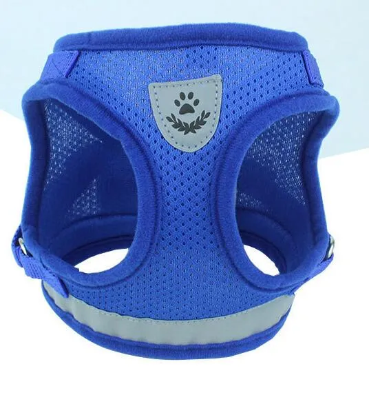 Dog Harness And Leash