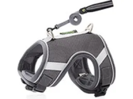 Dog Harness Gray