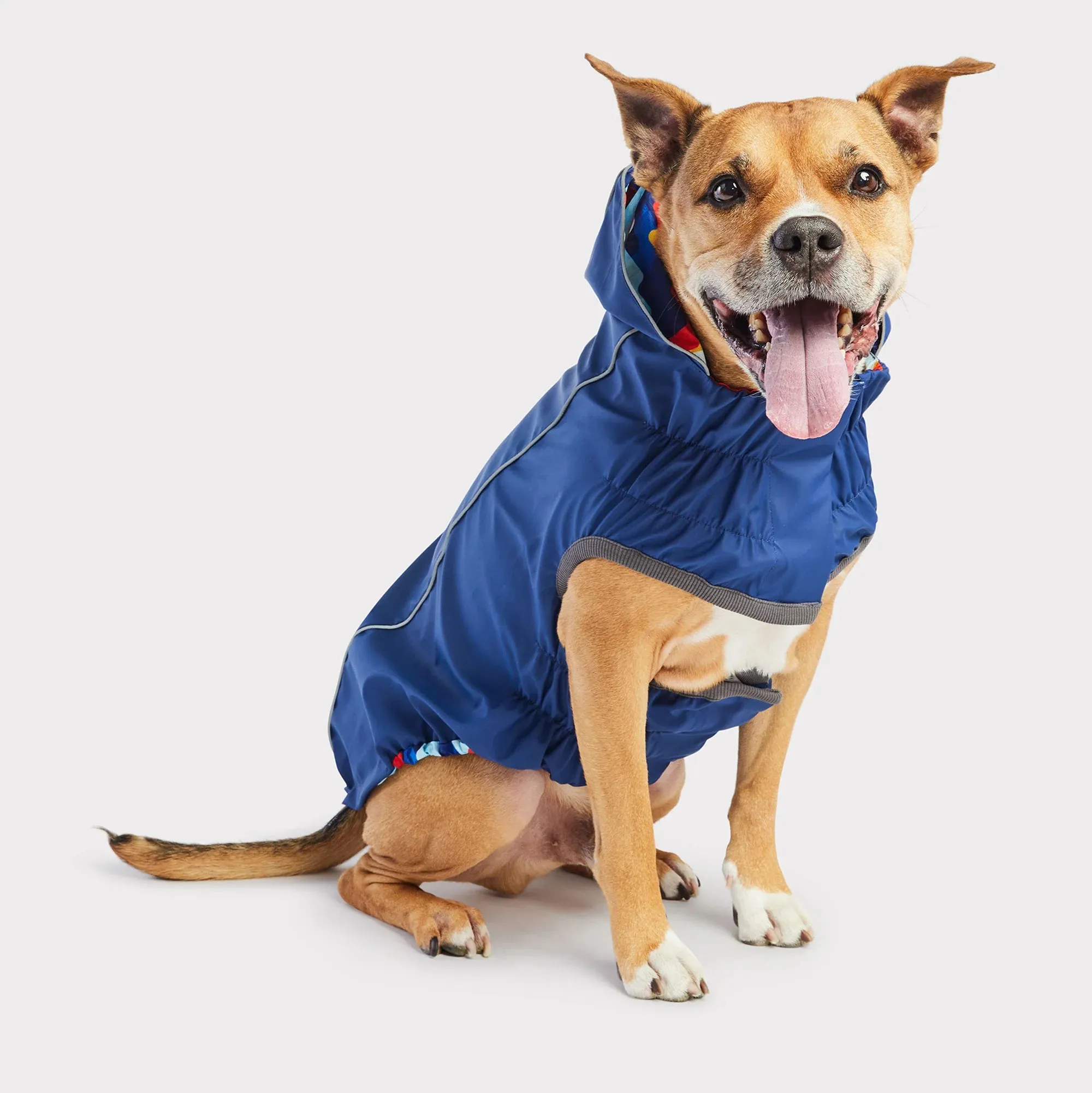 Dog Rain Coat - Reversible Navy Blue Retro