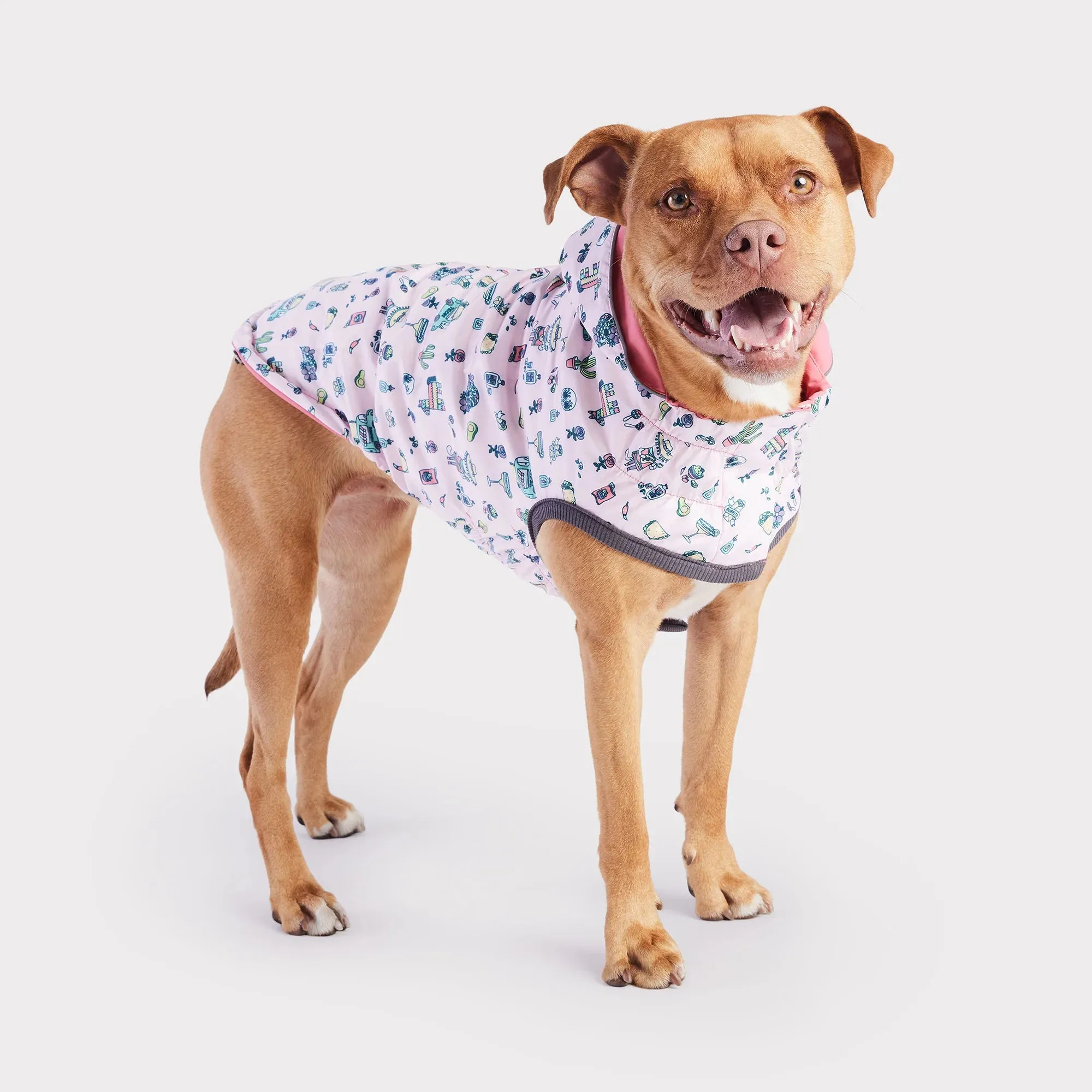 Dog Rain Coat - Reversible Pink Fiesta