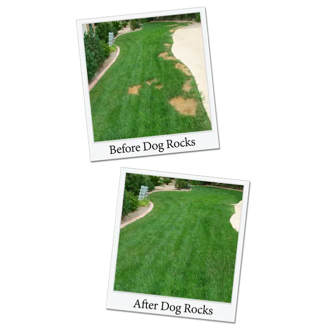 Dog Rocks | Natural Stones | Prevent Urine Burns on Lawn