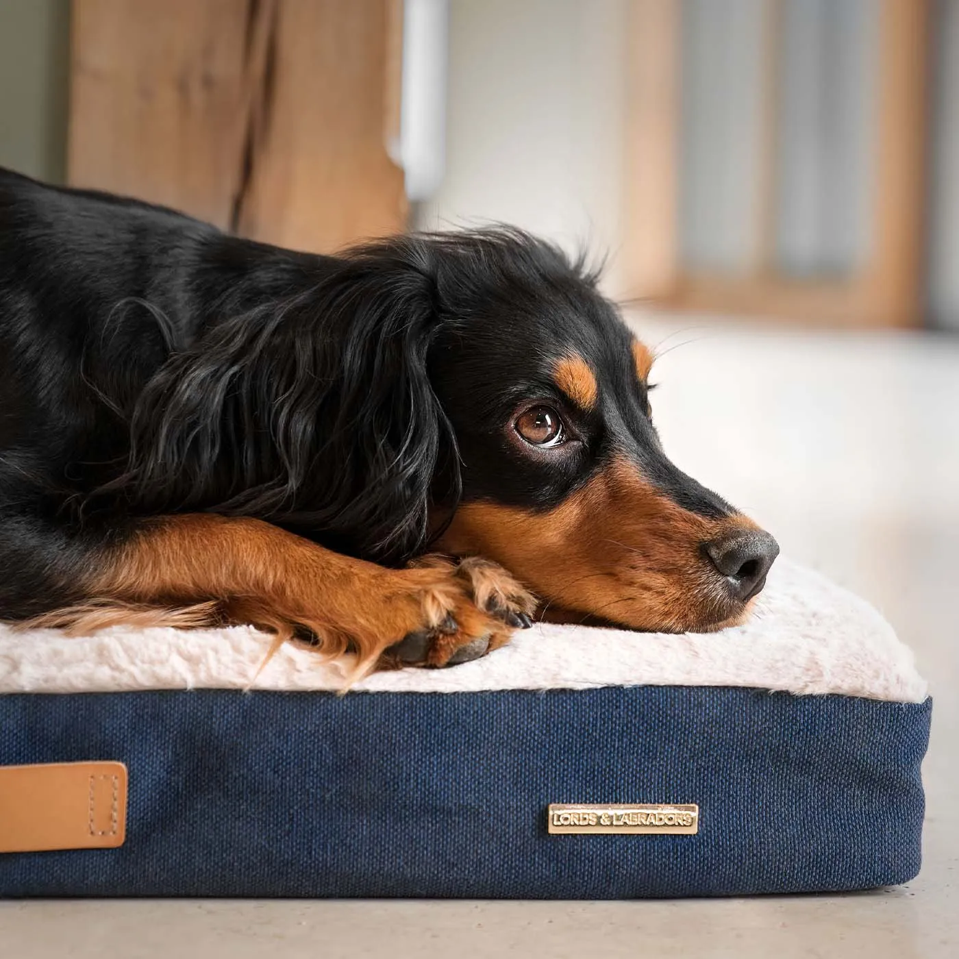 Essentials Twill Orthopaedic Mattress in Denim by Lords & Labradors