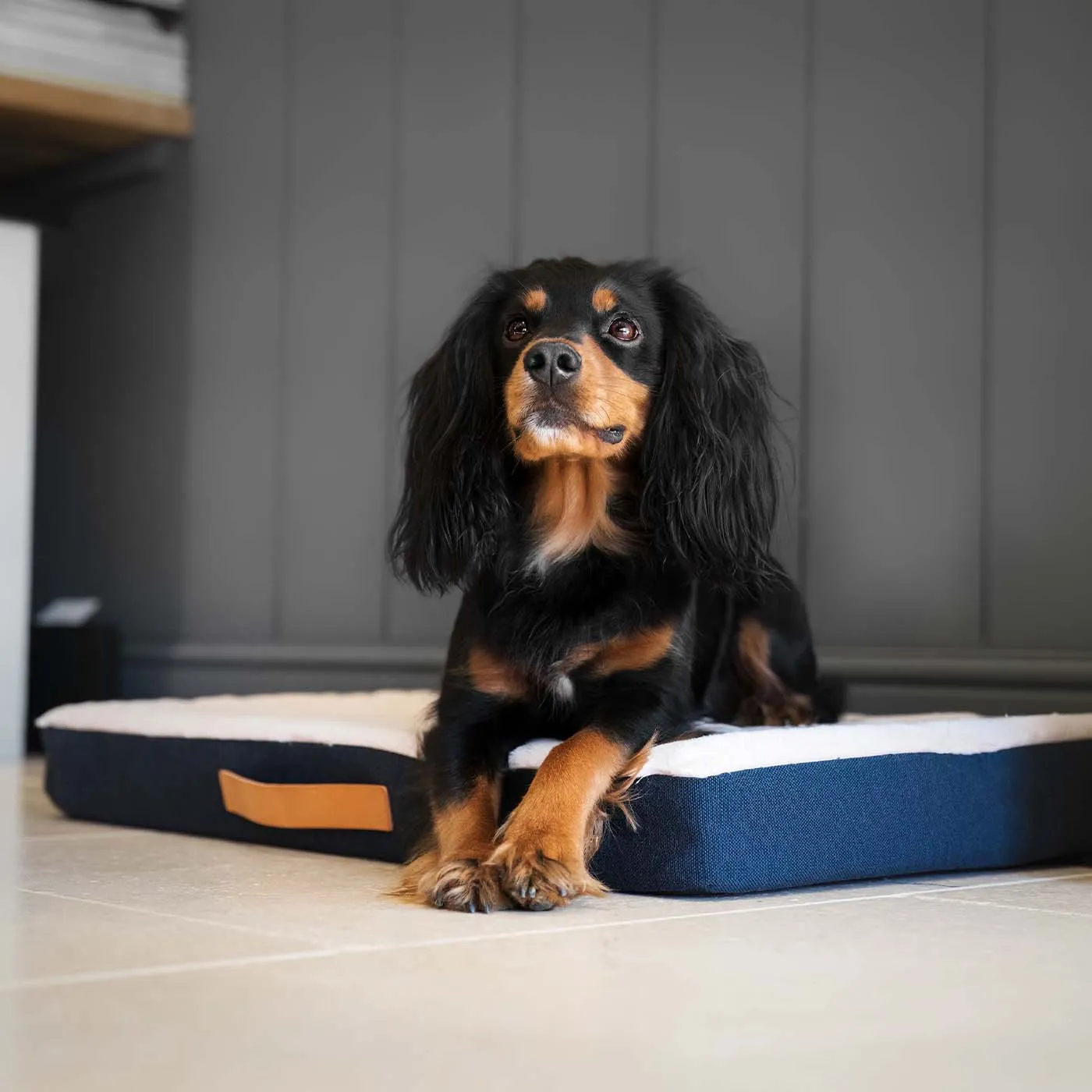 Essentials Twill Orthopaedic Mattress in Denim by Lords & Labradors