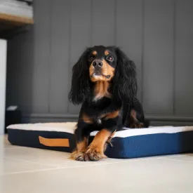 Essentials Twill Orthopaedic Mattress in Denim by Lords & Labradors