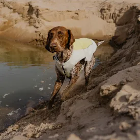 Evaporative Dog Cooling Vest