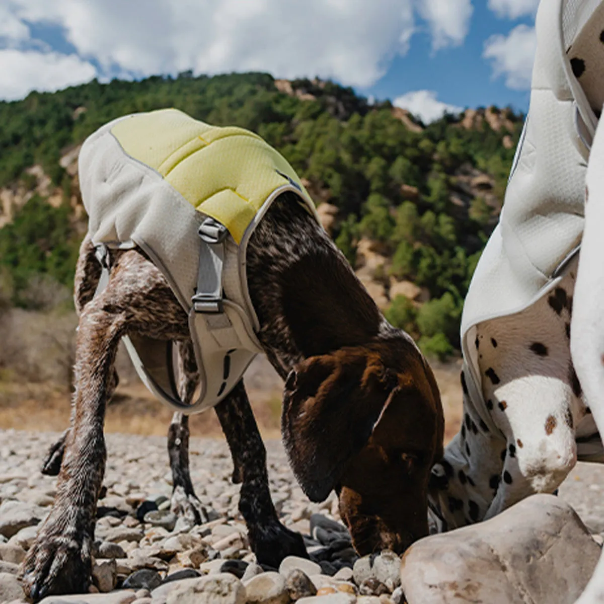 Evaporative Dog Cooling Vest