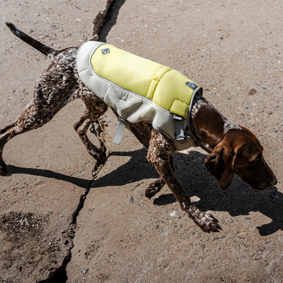 Evaporative Dog Cooling Vest