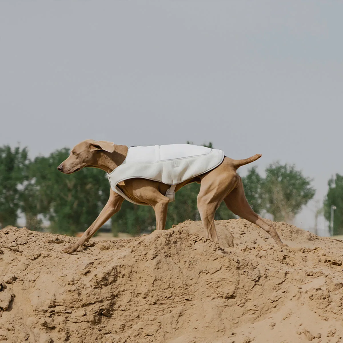 Evaporative Dog Cooling Vest