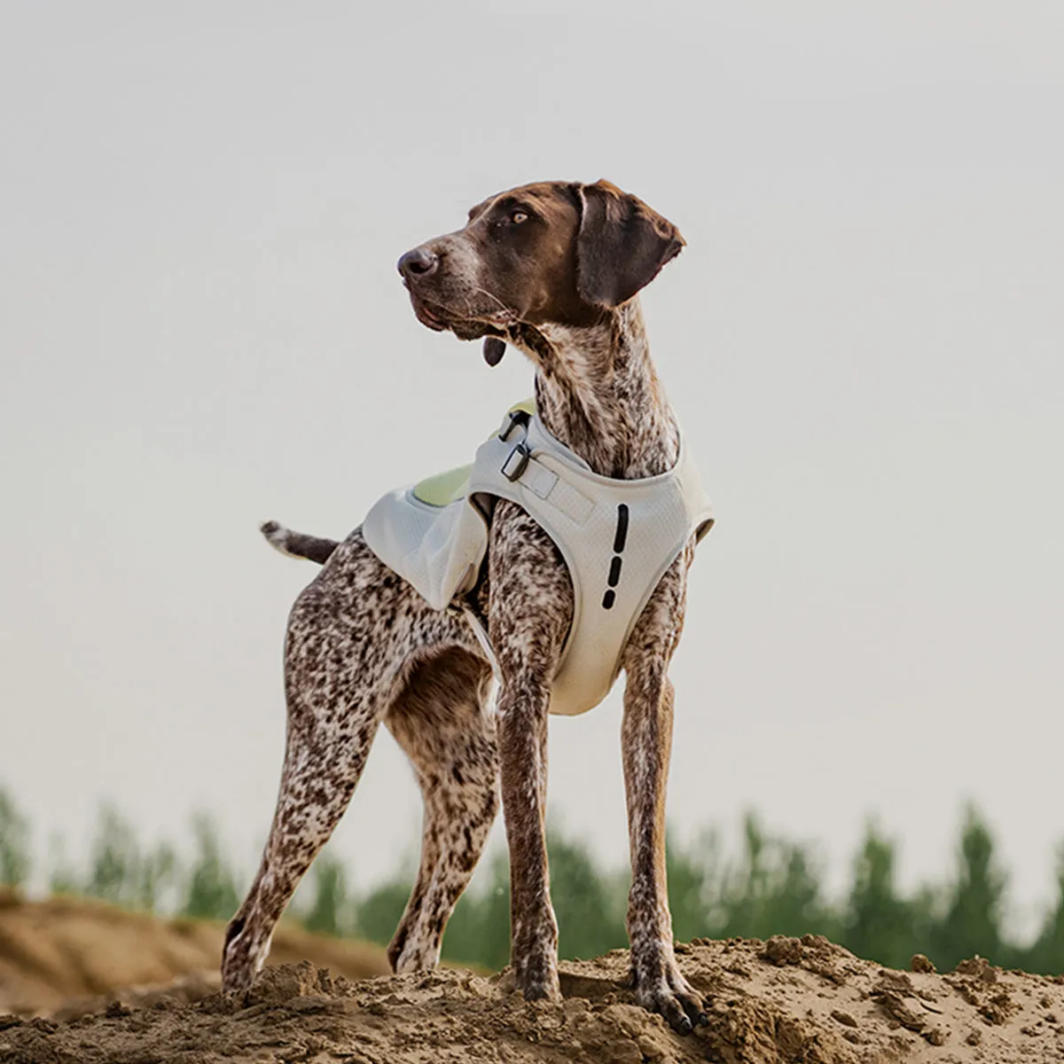 Evaporative Dog Cooling Vest