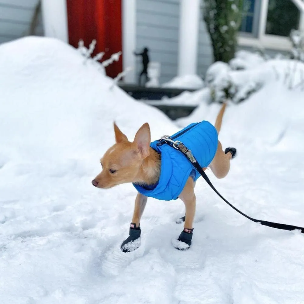 Gooby Puffer Vest Dog Jacket - Blue, X-Small - Ultra Thin Zip Up Wind Breaker with Dual D Ring Leash - Water Resistant Small Dog Sweater Coat - Dog Clothes for Small Dogs Boy or Medium Dogs, (12")