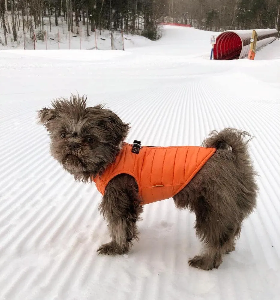 Gooby Puffer Vest Dog Jacket - Orange, X-Small - Ultra Thin Zip Up Wind Breaker with Dual D Ring Leash - Water Resistant Small Dog Sweater Coat - Dog Clothes for Small Dogs Boy or Medium Dogs
