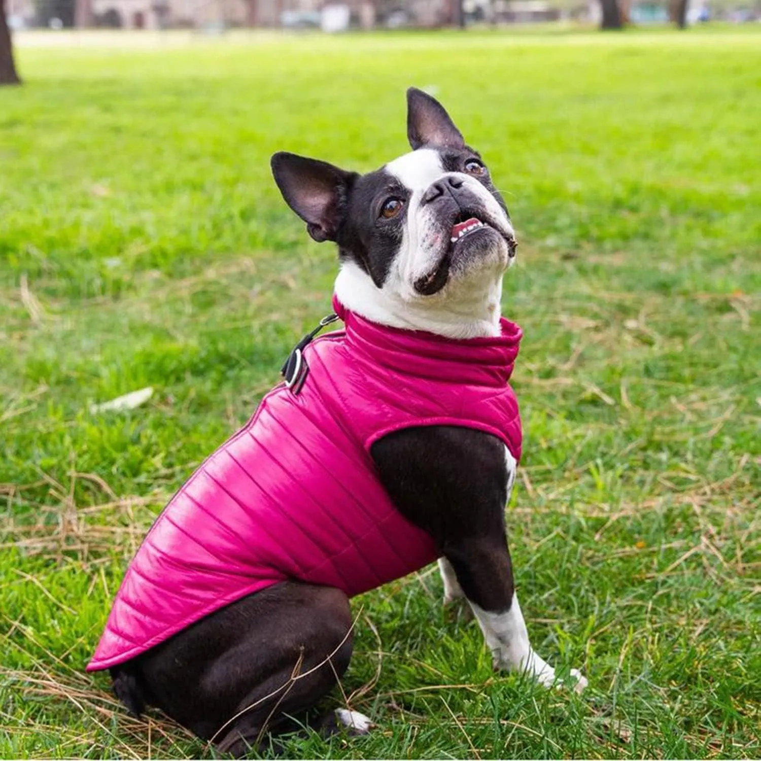 Gooby Puffer Vest Dog Jacket - Pink, Small - Ultra Thin Zip Up Wind Breaker with Dual D Ring Leash - Water Resistant Small Dog Sweater Coat - Dog Clothes for Small Dogs Boy or Medium Dogs