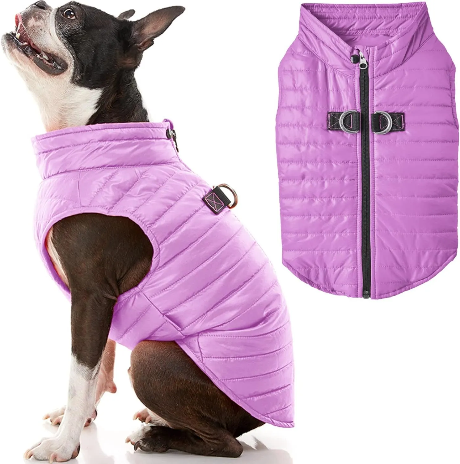 Gooby Puffer Vest Dog Jacket - Purple, X-Small - Ultra Thin Zip Up Wind Breaker with Dual D Ring Leash - Water Resistant Small Dog Sweater Coat - Dog Clothes for Small Dogs Boy or Medium Dogs, (12")