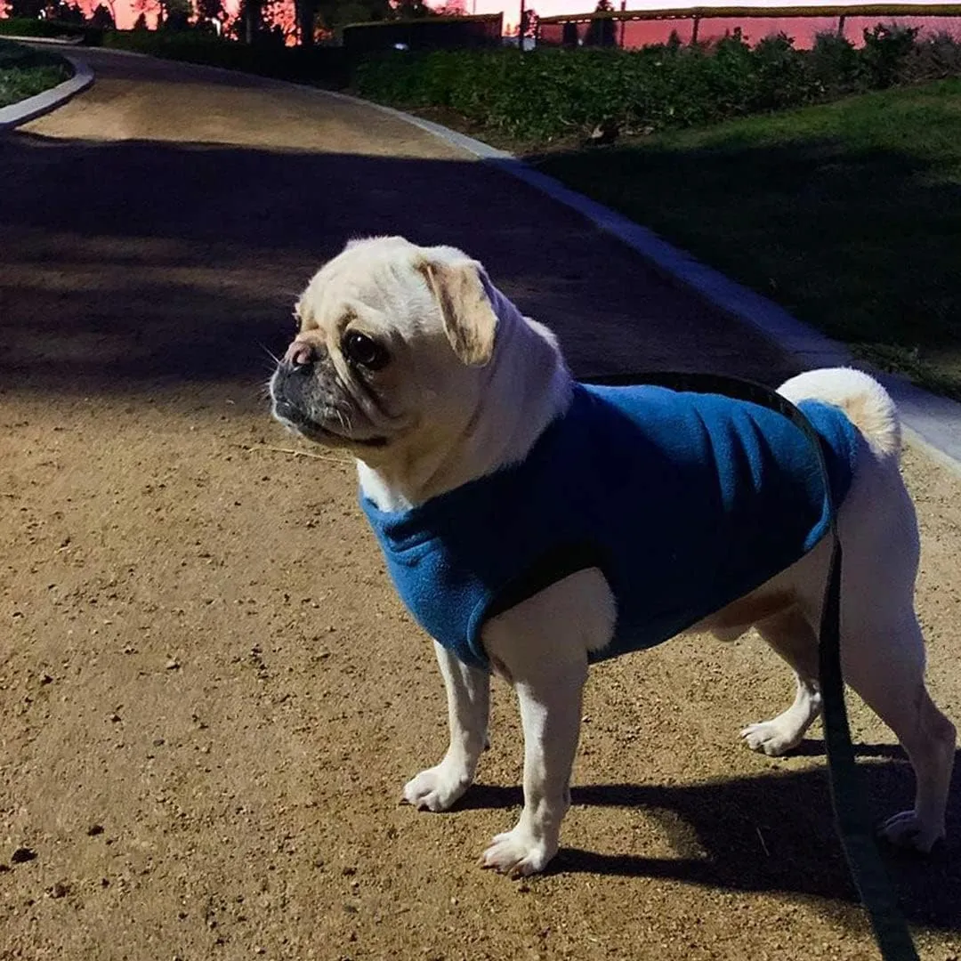 Gooby - Stretch Fleece Vest, Pullover Fleece Vest Jacket Sweater for Dogs, Indigo Blue, Medium Length (11")