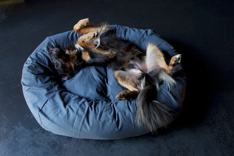 Grey Dog Bed Covers