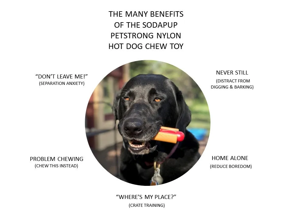 Hot Dog Chew Toy for Dogs