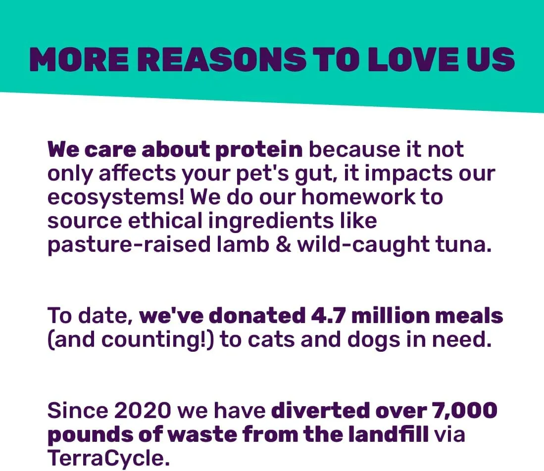 I and love and you Feed Meow Tummy Wet Cat Food - Tuna   Pumpkin - Digestion Support, Grain Free, Shredded, 3oz Pack of 12