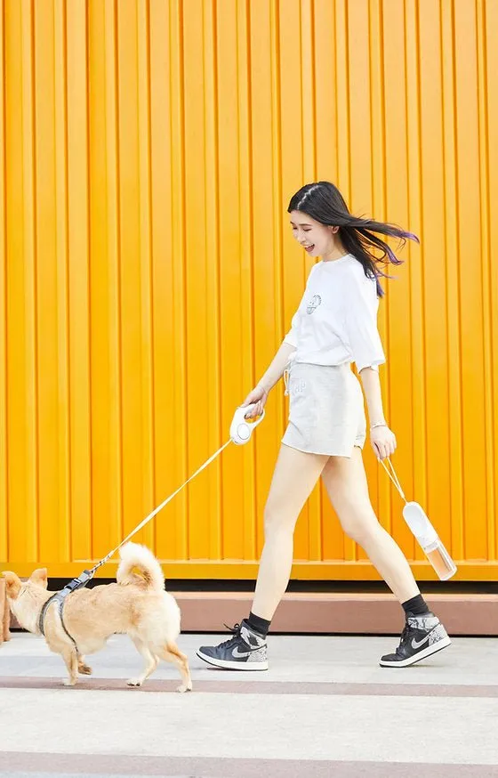 Instachew Petkit Gen 2 Eversweet Smart Travel