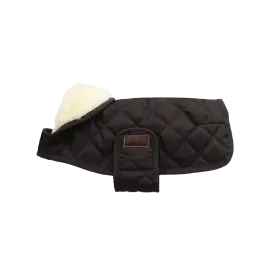 Kentucky Dog Coat- Brown