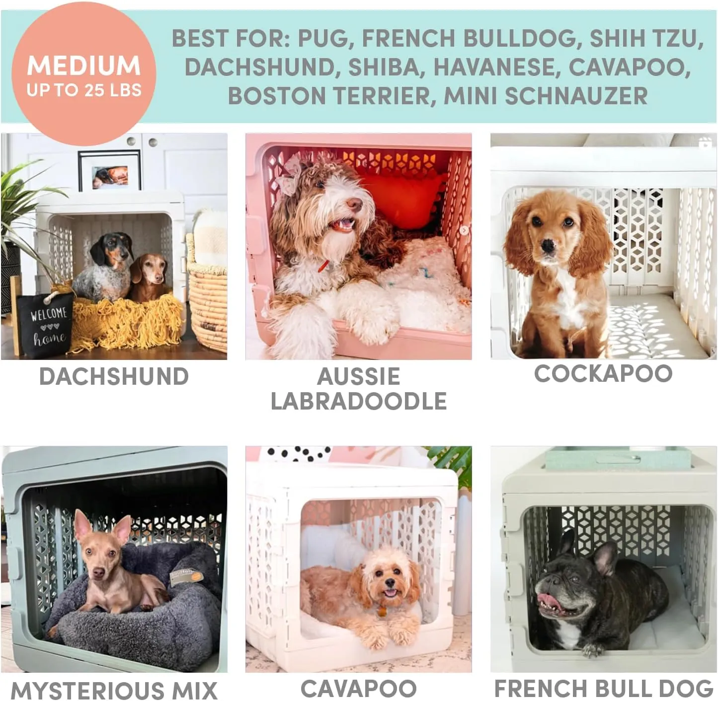 KindTail PAWD Collapsible Puppy and Dog Crate   Washable Bed - Stylish Pet Kennel with Comfortable Pad - Safe Indoor Set - Lightweight, Compact & Portable for Travel - Medium White