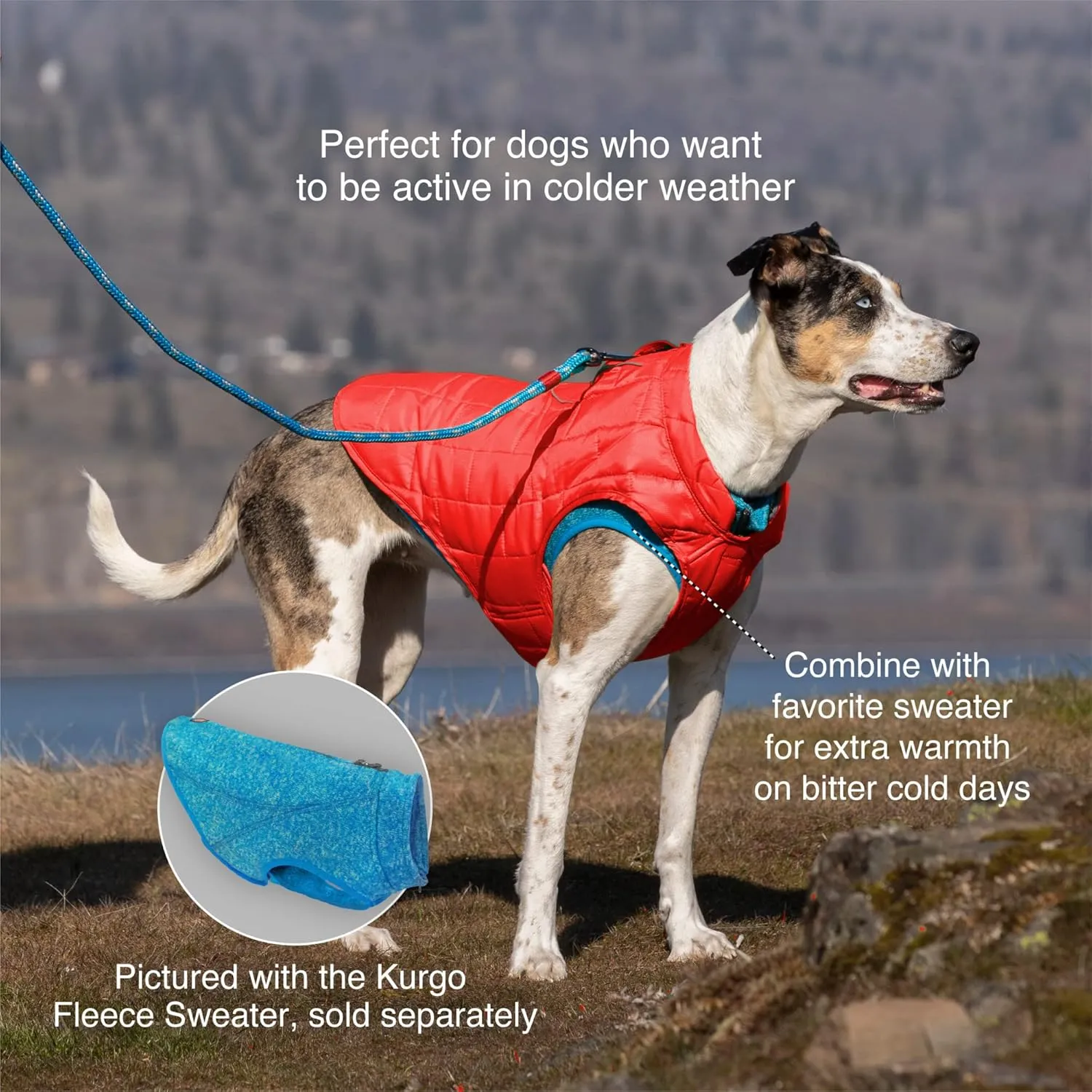 Kurgo Loft Dog Jacket, Reversible Winter Coat for Dogs, Wear with Harness or Sweater, Water Resistant, Reflective, for Small Medium Large Pets (Fall Festival, XS)