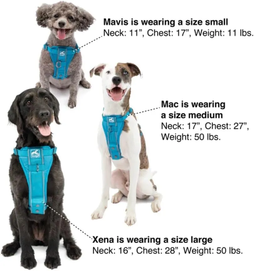 Kurgo TruFit Smart Dog Walking Harness Quick Release Black Medium