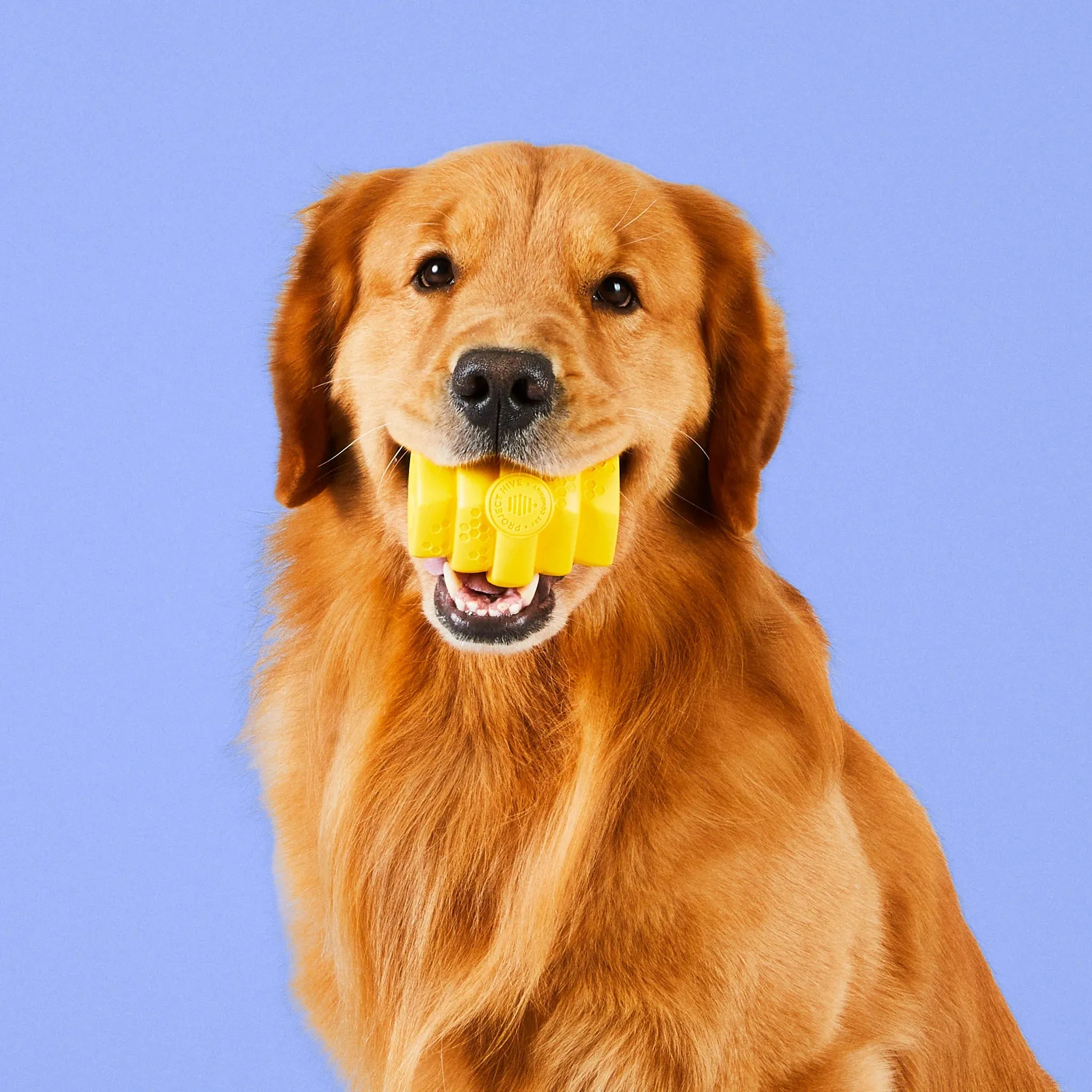 Large Hive Treat Dispenser & Enrichment Toy for Dogs