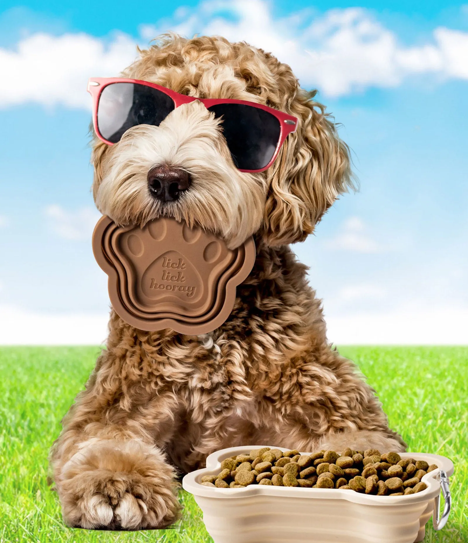 Modern Monkey®️ sWAG Collapsible Paw Doggie Dish