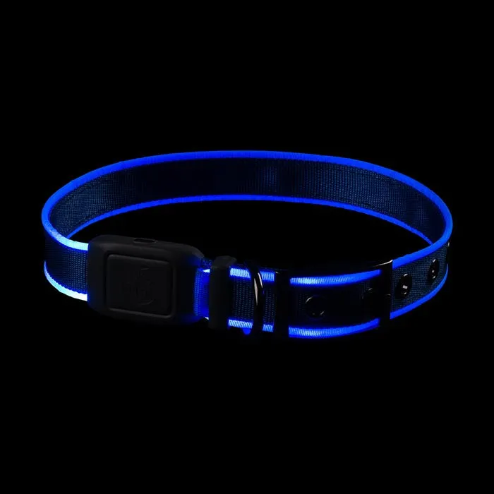 Nite Ize NiteDog Rechargeable LED Collar - Medium