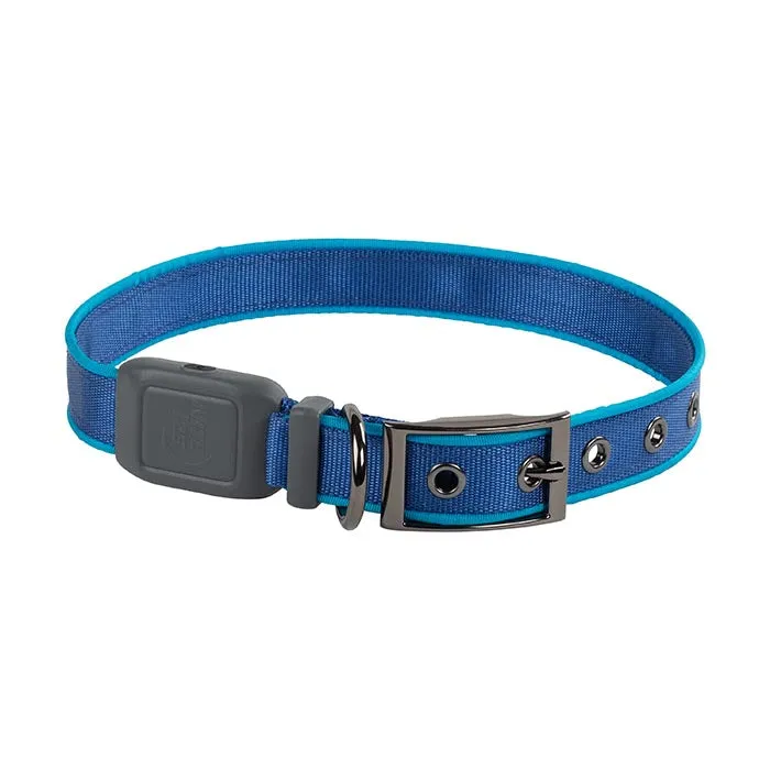 Nite Ize NiteDog Rechargeable LED Collar - Medium