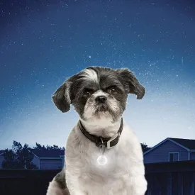 Nite Ize Petlit Collar Light for Dogs and Cats