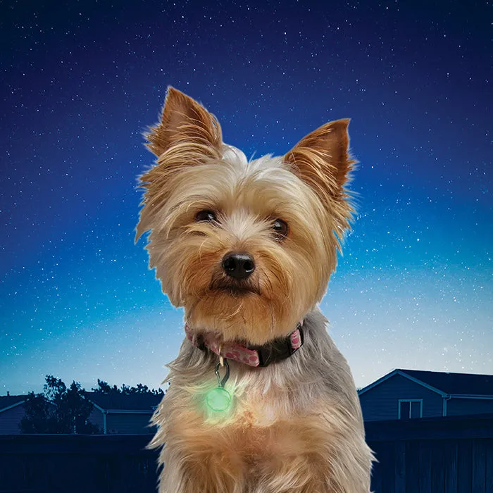 Nite Ize PetLit LED Collar Light